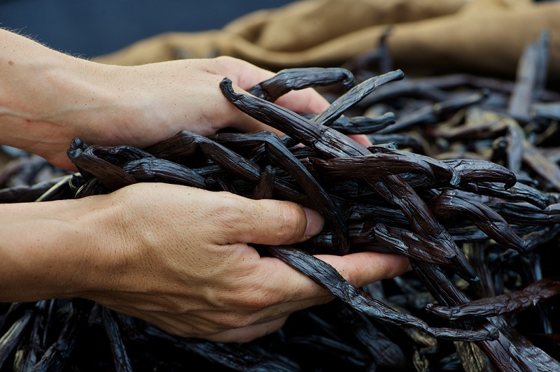 Vers une Indication Géographique Protégée pour la vanille de Tahiti