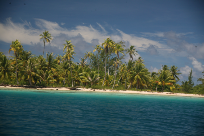 Carnet de voyage - Makemo : gourmandises paumotu