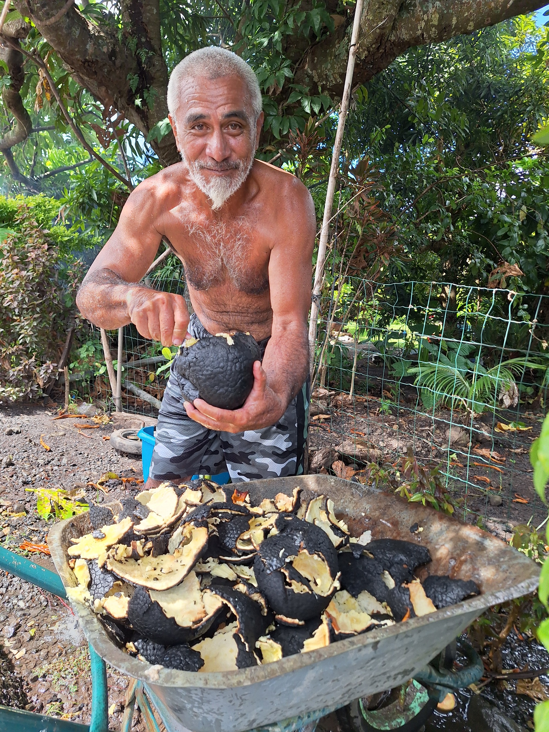 Aussitôt cuit, aussitôt décortiqué !