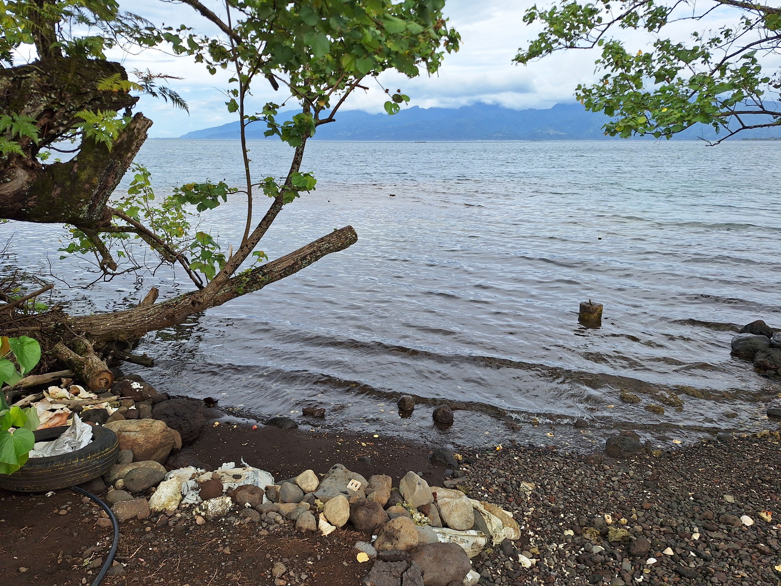 Ce sont des riverains qui ont donné l’alerte lundi, en fin d’après-midi (Crédit : Anne-Charlotte Lehartel).