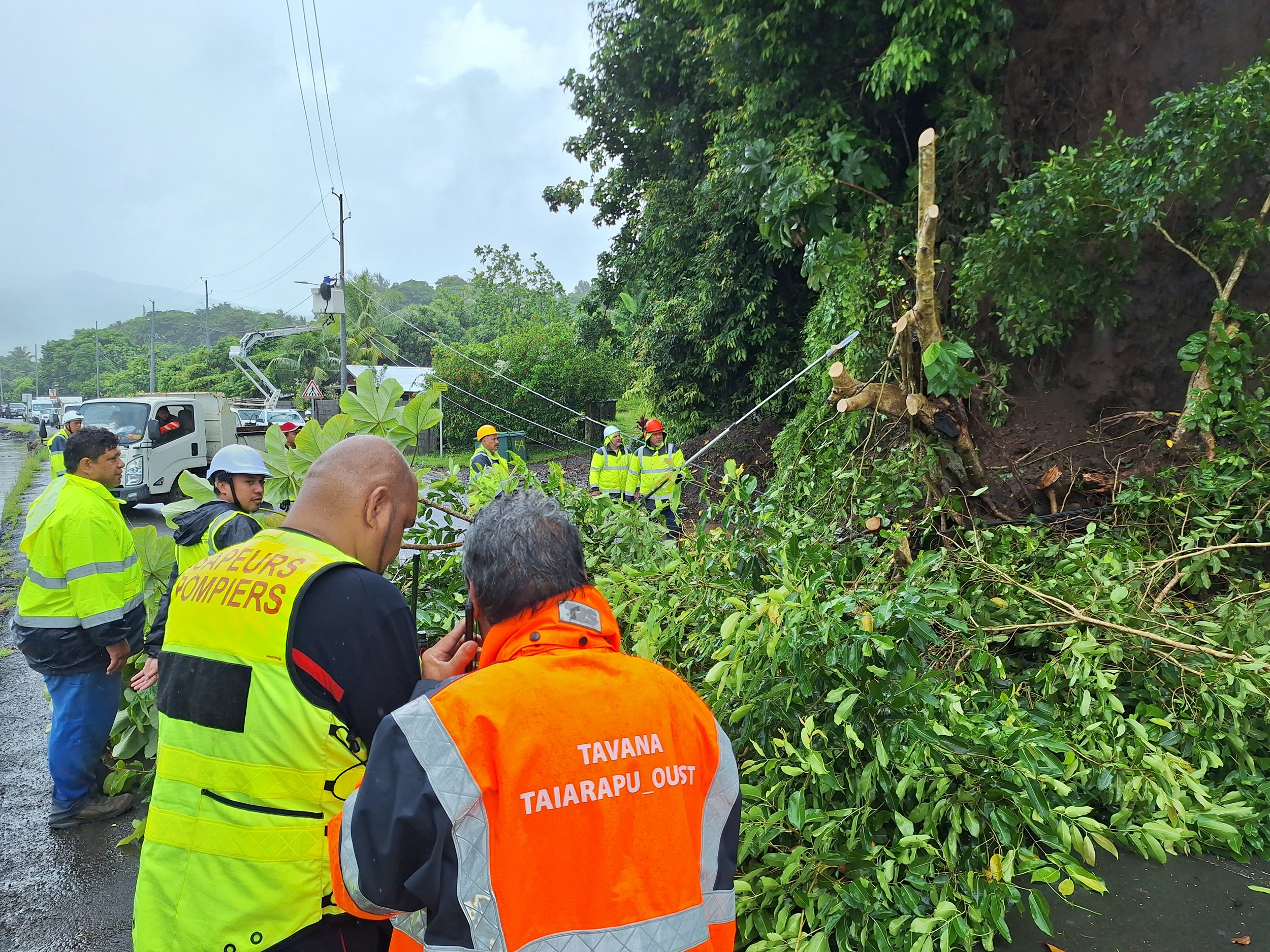 La chute d’un pistachier a bloqué à la circulation et provoqué une coupure de courant à Mitirapa.