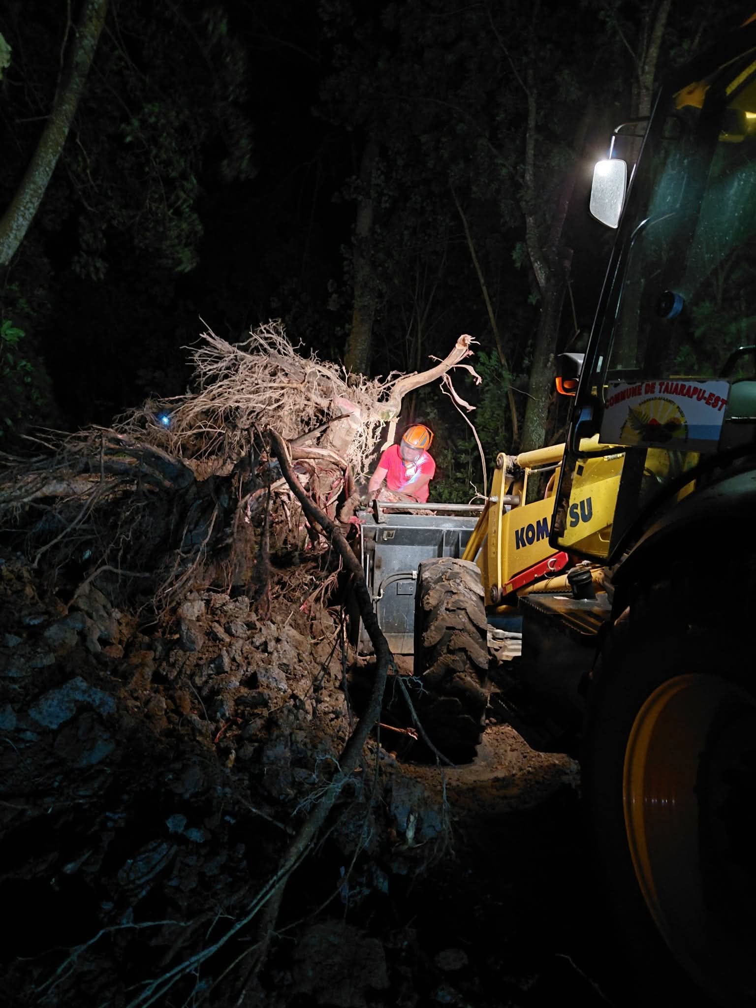 Mercredi soir, un falcata et des gravas sont tombés du talus qui longe la montée de la route du plateau de Afaahiti (Crédit : Commune de Taiarapu-Est).