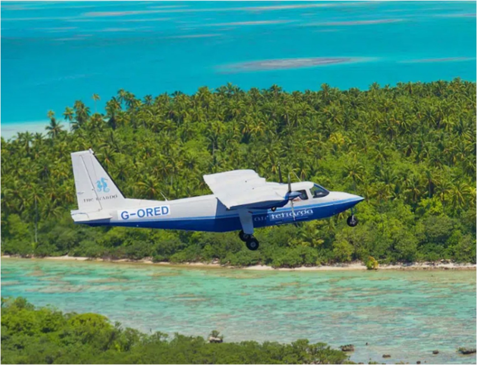 Remmoa II, ce sont deux avions, 300 heures de vol et 2,2 millions d’euros (262 millions de francs) pour mieux comprendre la mégafaune marine. ©Pelagis