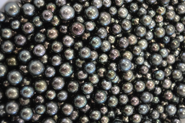 Favorisée par les dernières ventes aux enchères, la valeur des exportations de perles de culture brute a doublé en mars 2016 par rapport à mars 2015