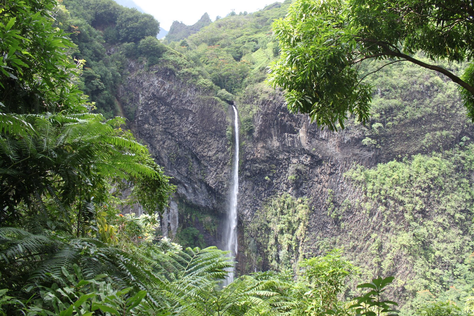 Deux randonnées sont possibles dans la vallée de la Fautaua. L'une mène au sommet de la cascade, l'autre à son pied. Les deux sont fermées pour le moment.