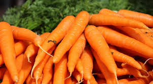 Le gène qui rend la carotte orange identifié, un atout pour la santé