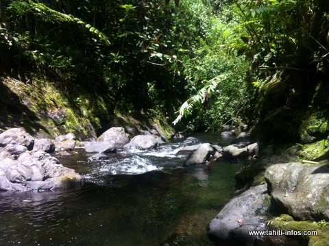 Le corps sans vie d'un homme de 22 ans découvert dans la vallée de la Fautaua