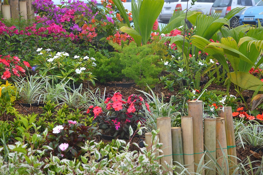 Appel à la population: demande d'arbres fruitiers