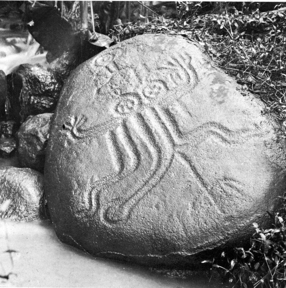 Un pétroglyphe polynésien bientôt restauré grâce à la mobilisation citoyenne