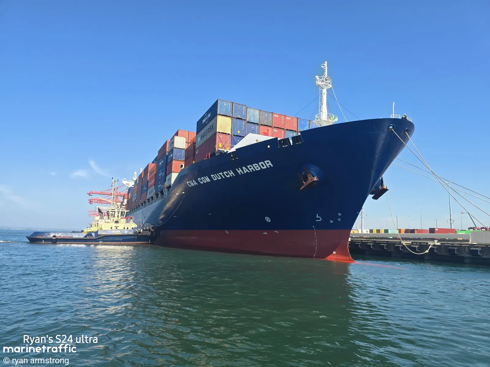 Une alerte aux grillons au port de Papeete