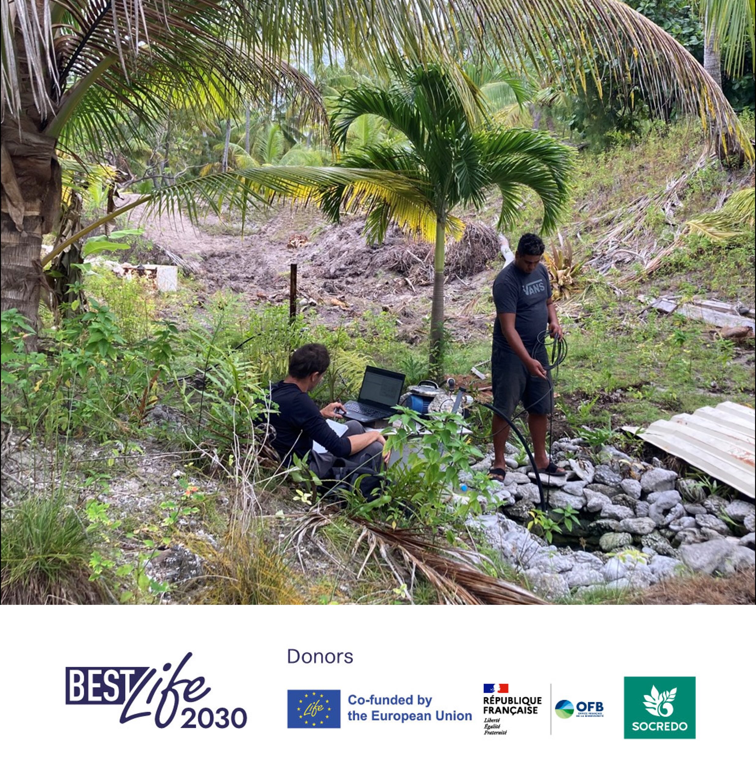 Le deuxième appel à propositions du programme BestLife2030 mobilise plus de 8 millions d’euros pour soutenir 81 projets locaux en faveur de la biodiversité.