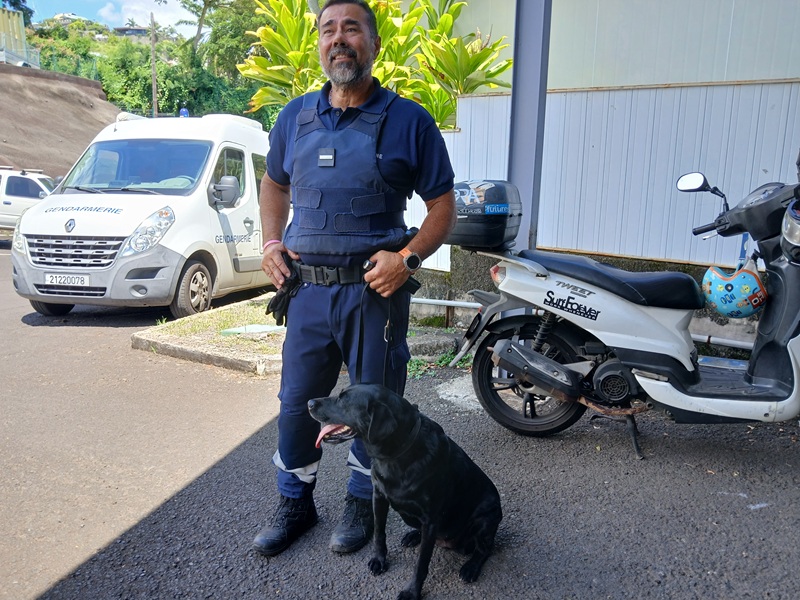 Violences et trafic redessinent la délinquance 