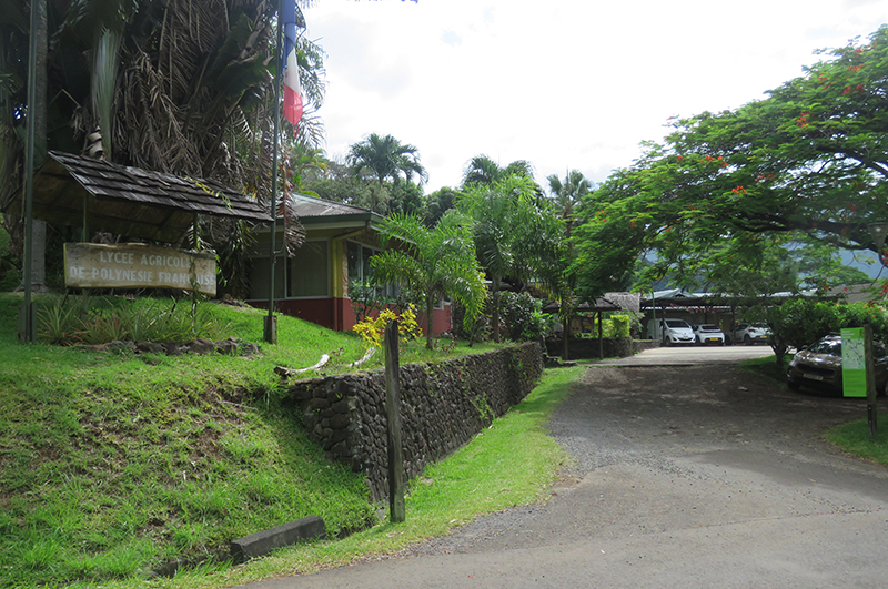 Trois nouvelles formations au lycée agricole de Moorea