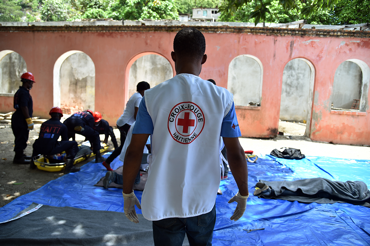 Fièvre jaune: la Fédération de la Croix-Rouge craint une "crise mondiale"