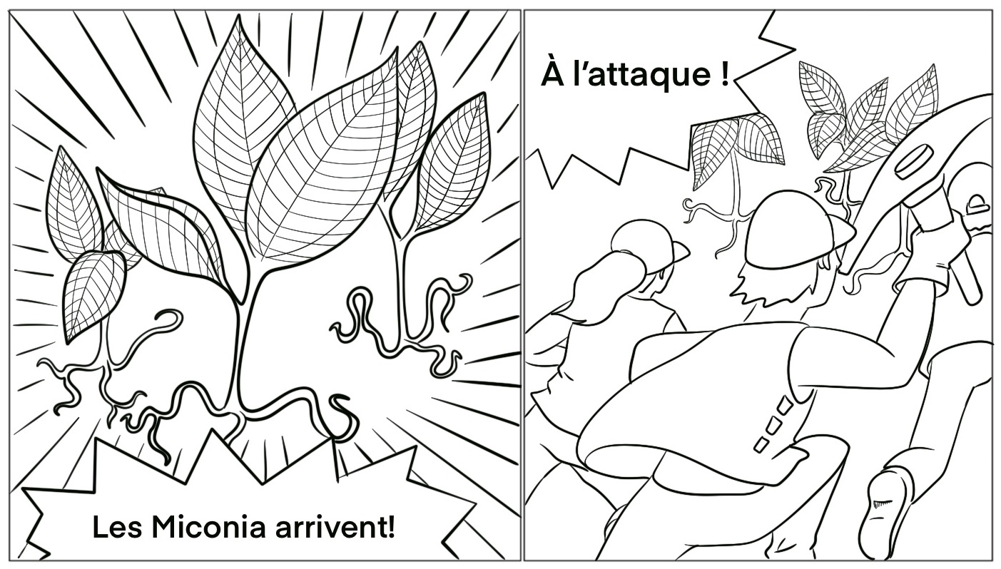 Aperçu de la bande-dessinée réalisée en partenariat avec Tematai Bordas.
