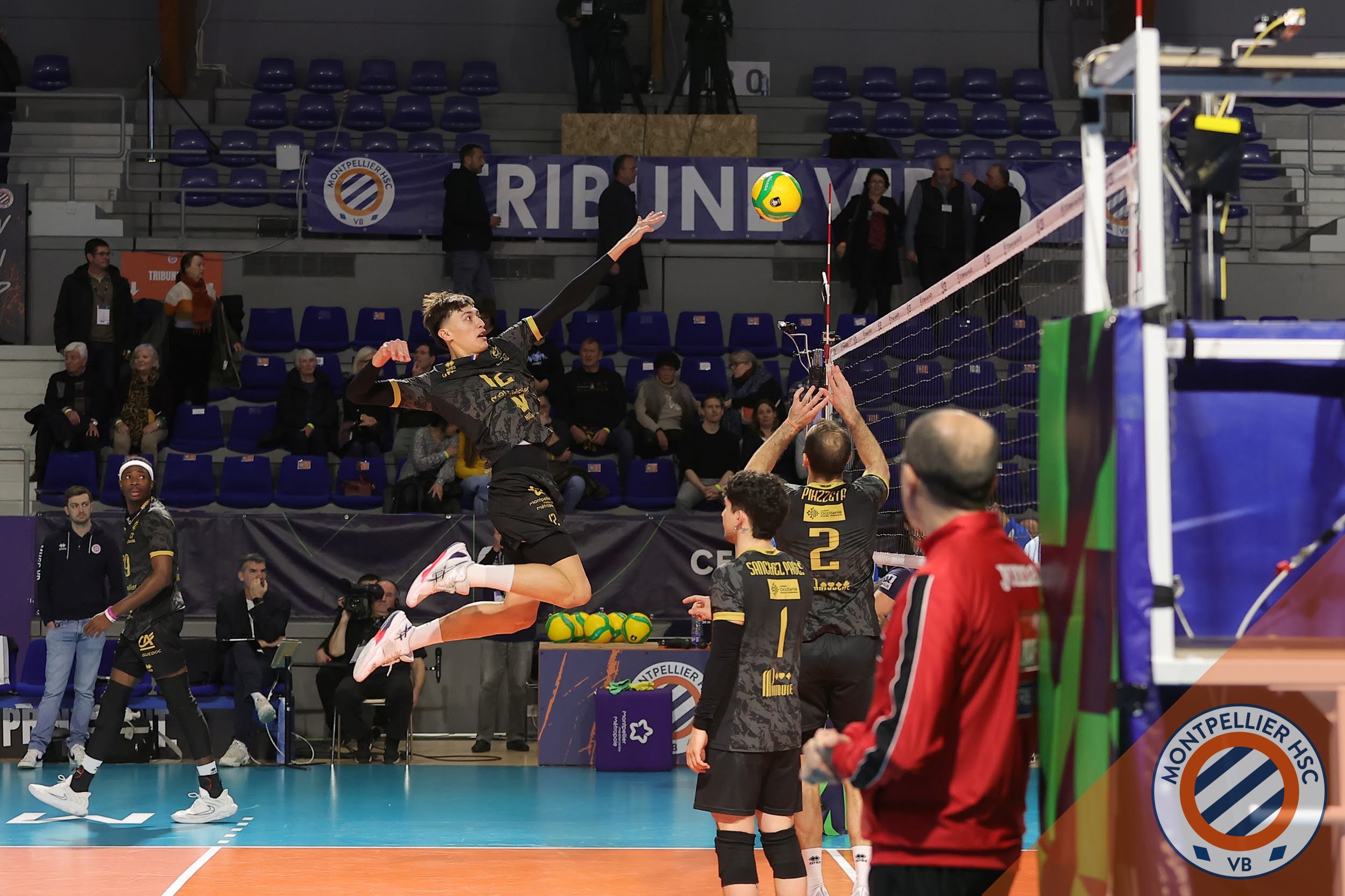 Haukea Mare a connu un début de saison exceptionnel avec le Montpellier HSCVB.