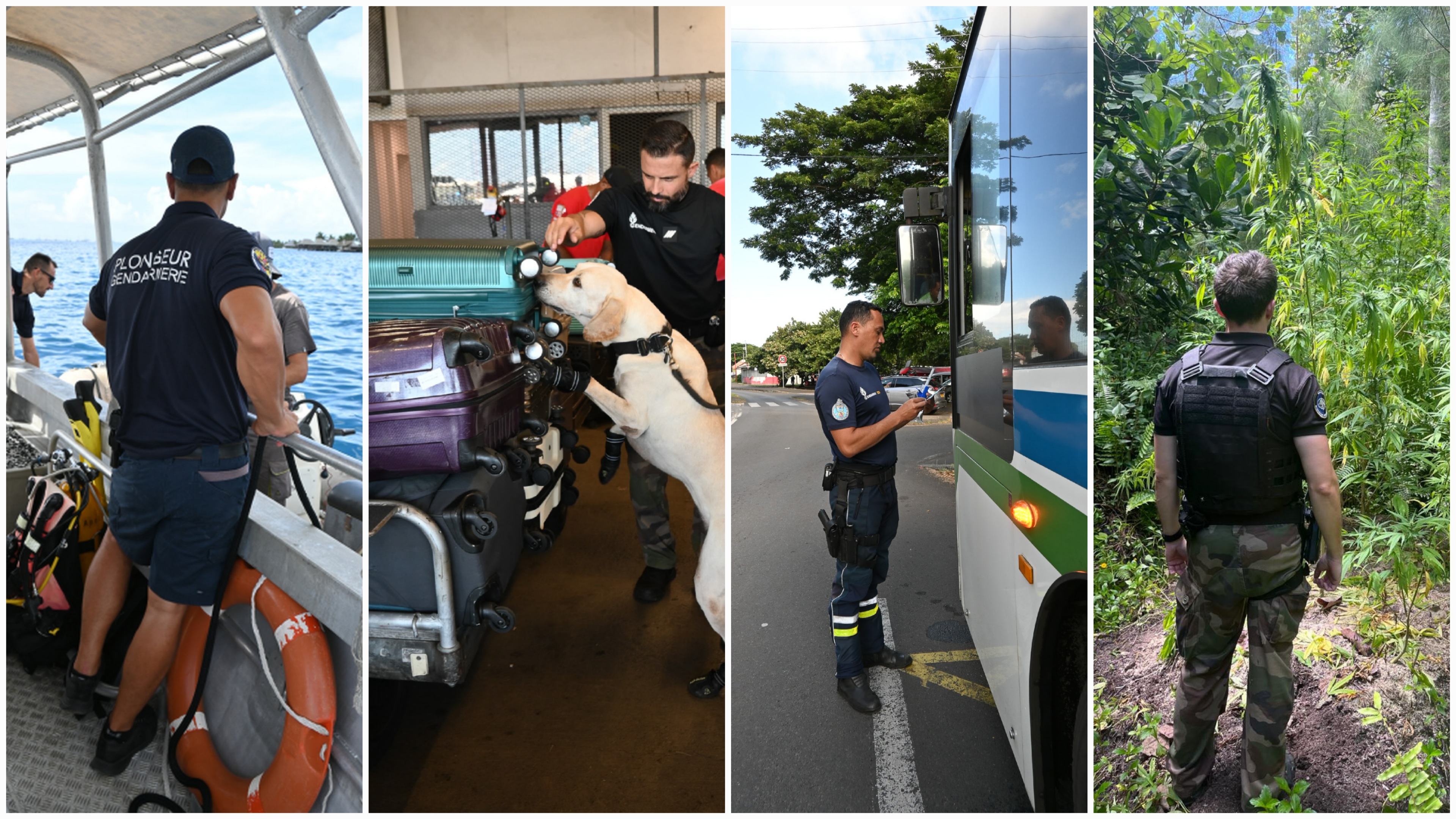 Des contrôles ont été menés sur l’ensemble du territoire (Crédit photos : Gendarmerie nationale).