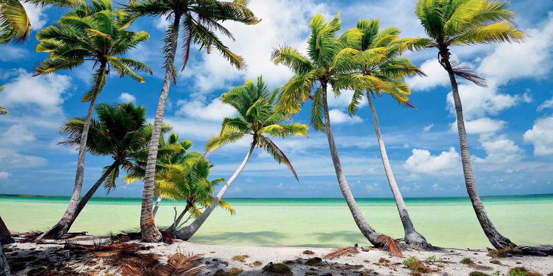 1 à 2 milliards de dollars par an, ce sont les besoins estimés à l’échelle du Pacifique pour faire face au changement climatique. Ils sont couverts à hauteur de 7 % seulement (Crédit : archive).