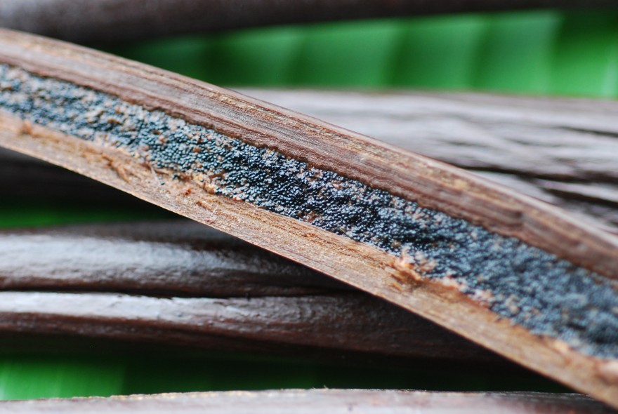 Jardin de senteurs tahitiennes