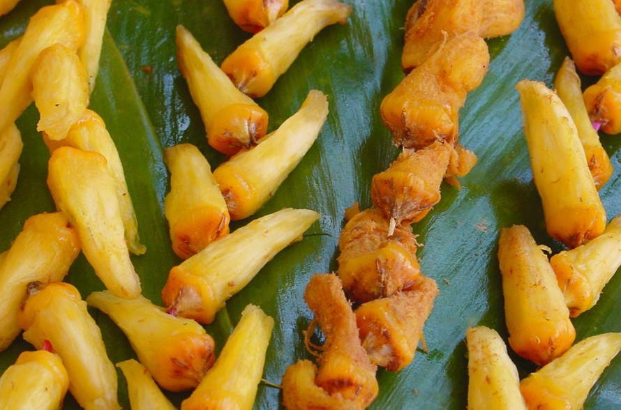 Jardin de senteurs tahitiennes