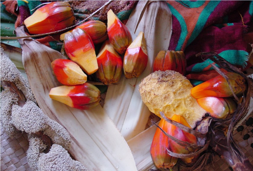 Jardin de senteurs tahitiennes