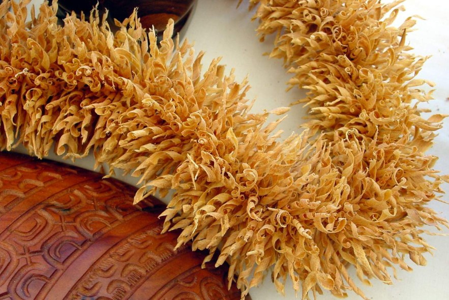 Jardin de senteurs tahitiennes