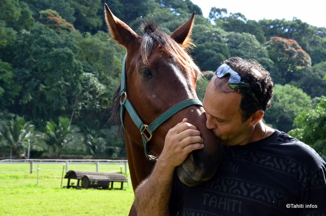 Tamatoa Lotte a fait venir de nombreux chevaux sur le fenua pour relancer les courses