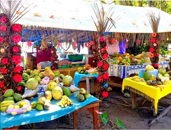 "Je suis un fervent défenseur de la nature. En Polynésie, nos principales ressources sont liées à la nature. Pour nos enfants et les générations futures, préservons-la !", insiste Moana.