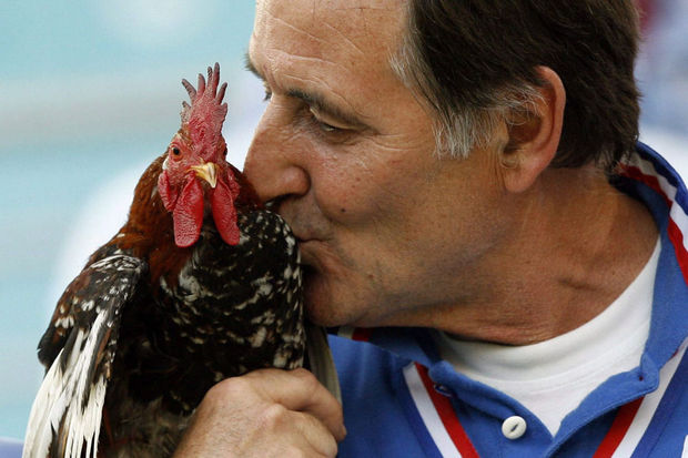 Le Coq de Clément d'Antibes interdit de stade pour l'Euro-2016