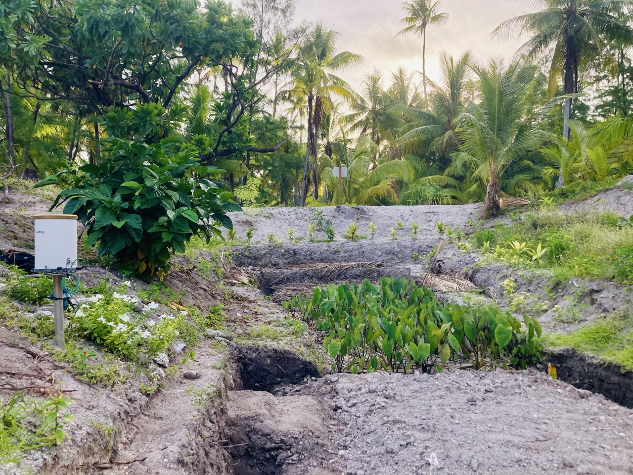 Un guide de restauration des maite