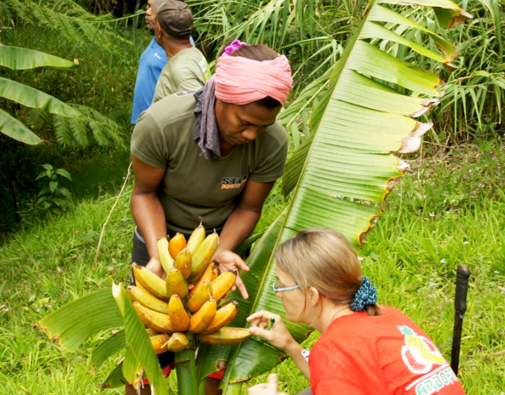 3-Prospection de terrain en Nouvelle-Calédonie.