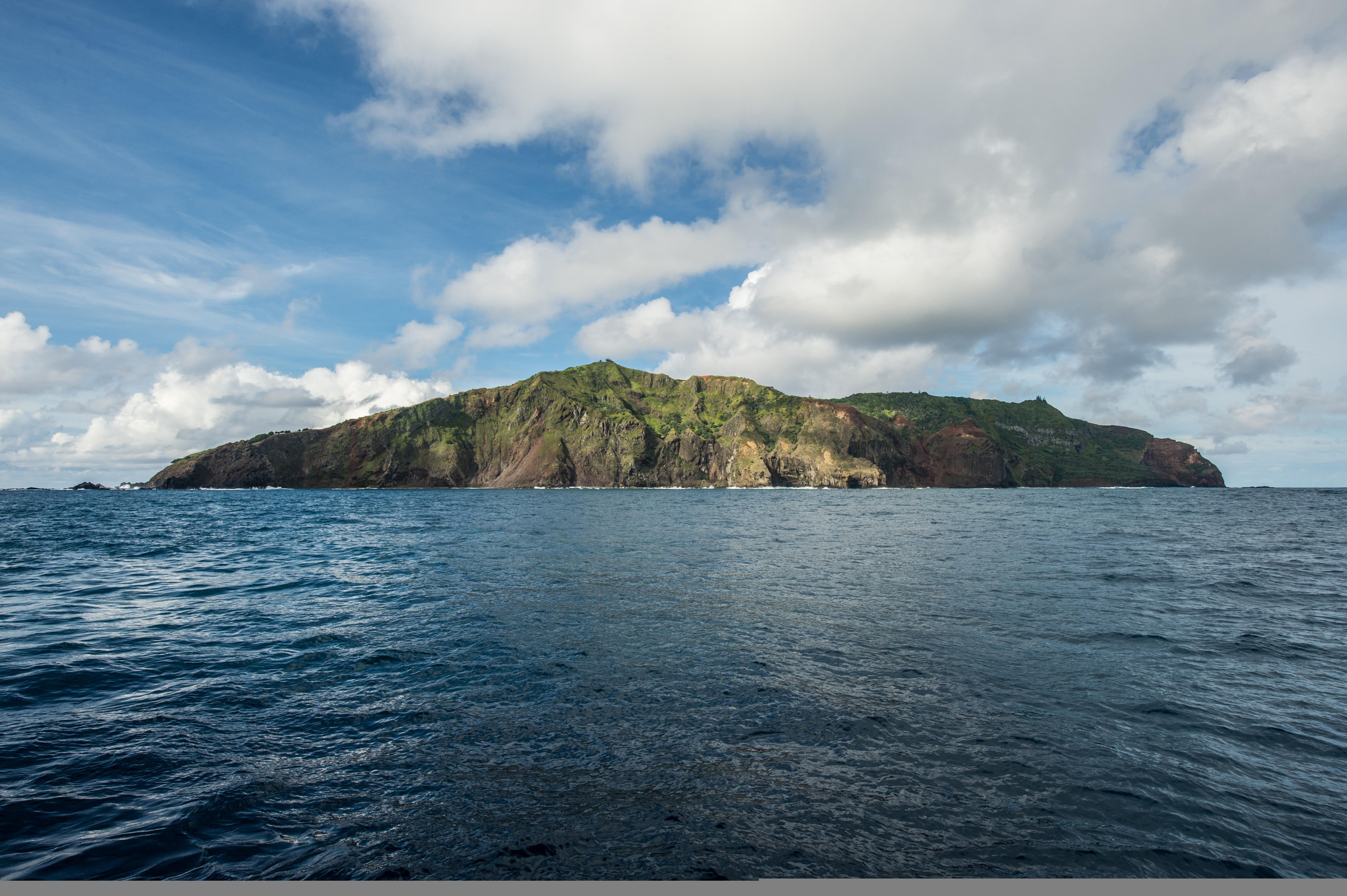​Hantavirus : l'américaine cas contact a voyagé avec sept personnes vers Pitcairn