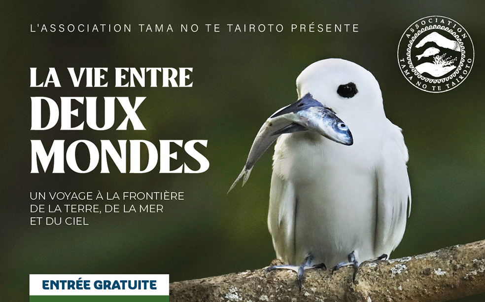 ​Une plongée entre deux mondes avec Tama nō te tairoto