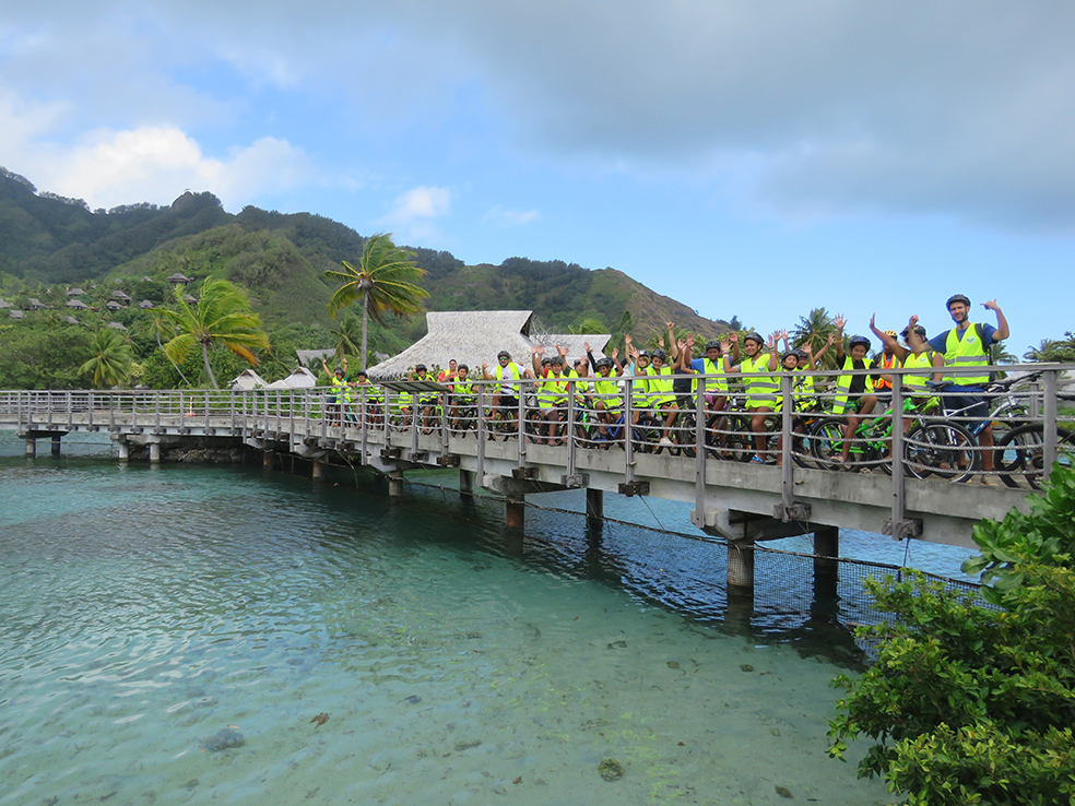 À la rencontre des dauphins de Moana Ora
