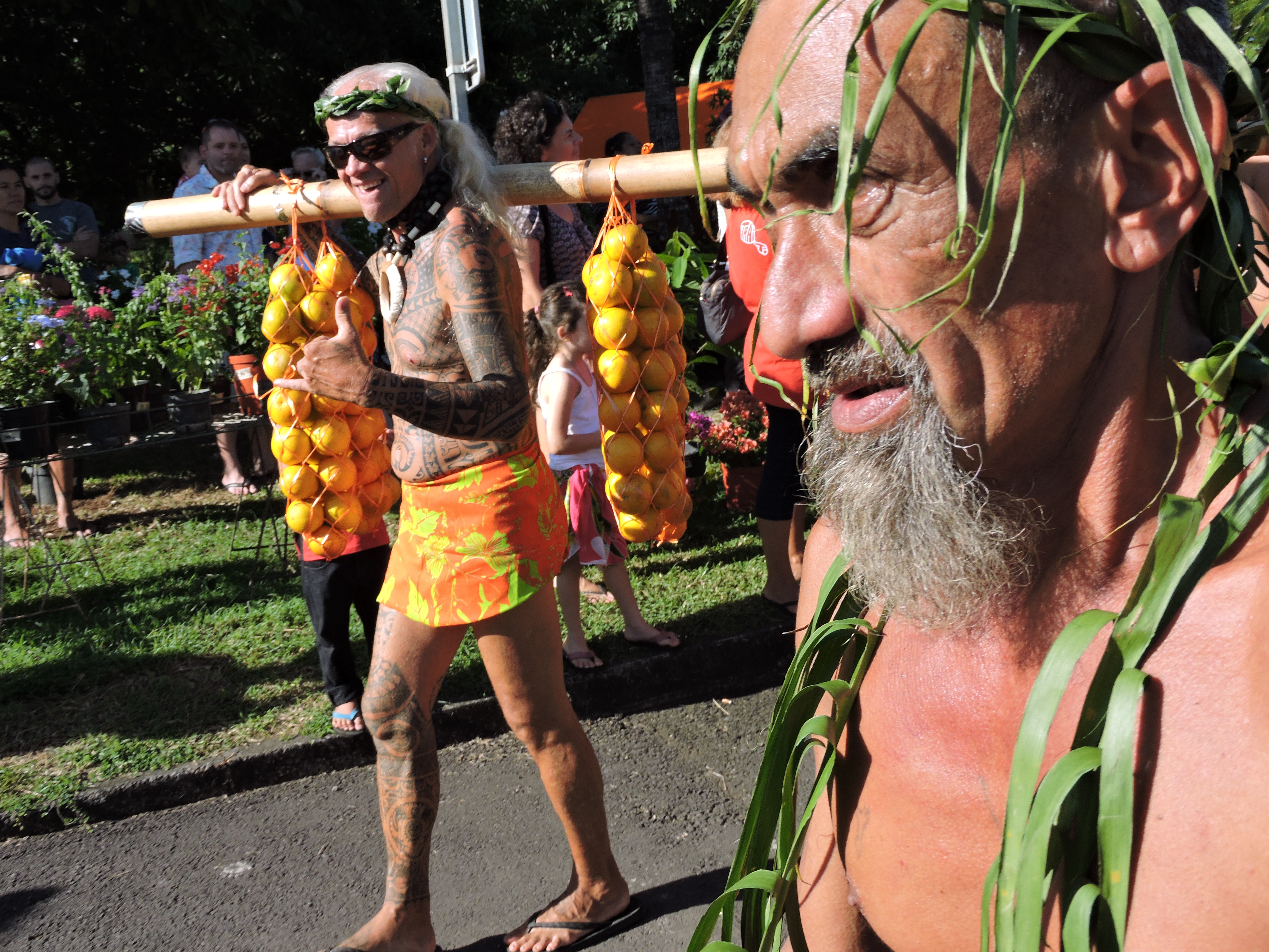 Punaauia : la cueillette des oranges a commencé