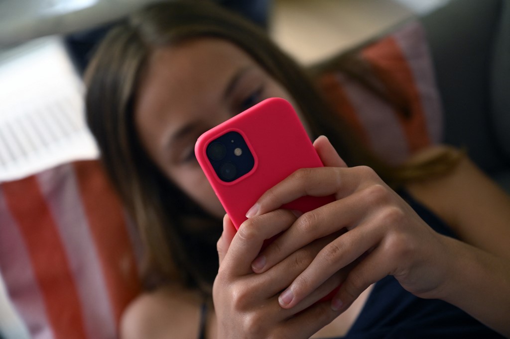 Réseaux sociaux: Paris maintient l'objectif d'une interdiction aux mineurs dès septembre