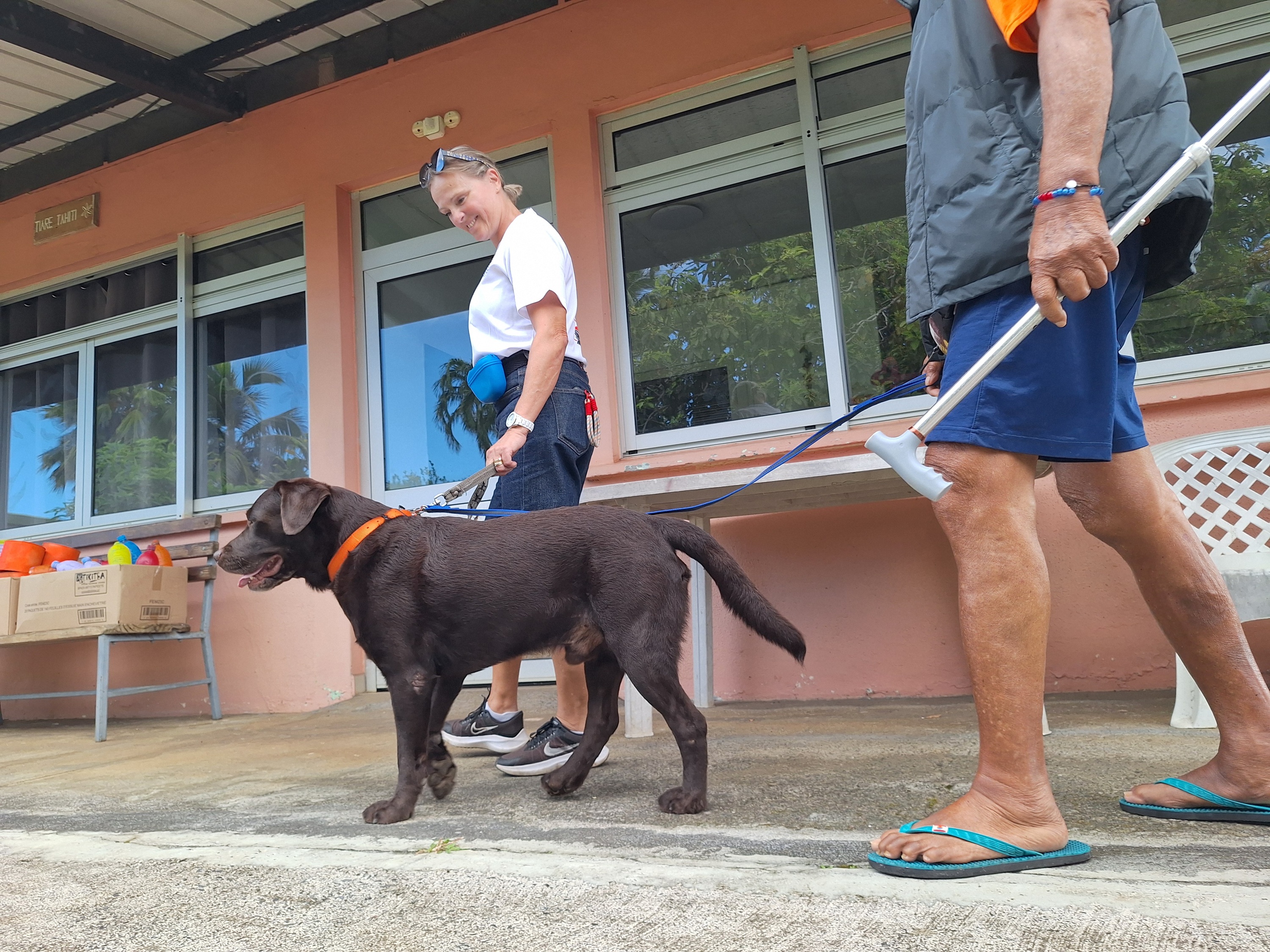 Avec Roméo, plus besoin de canne pour se promener (Crédit : Anne-Charlotte Lehartel).