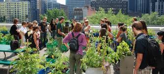 Agriculture urbaine: nourrir les villes, guérir les urbains
