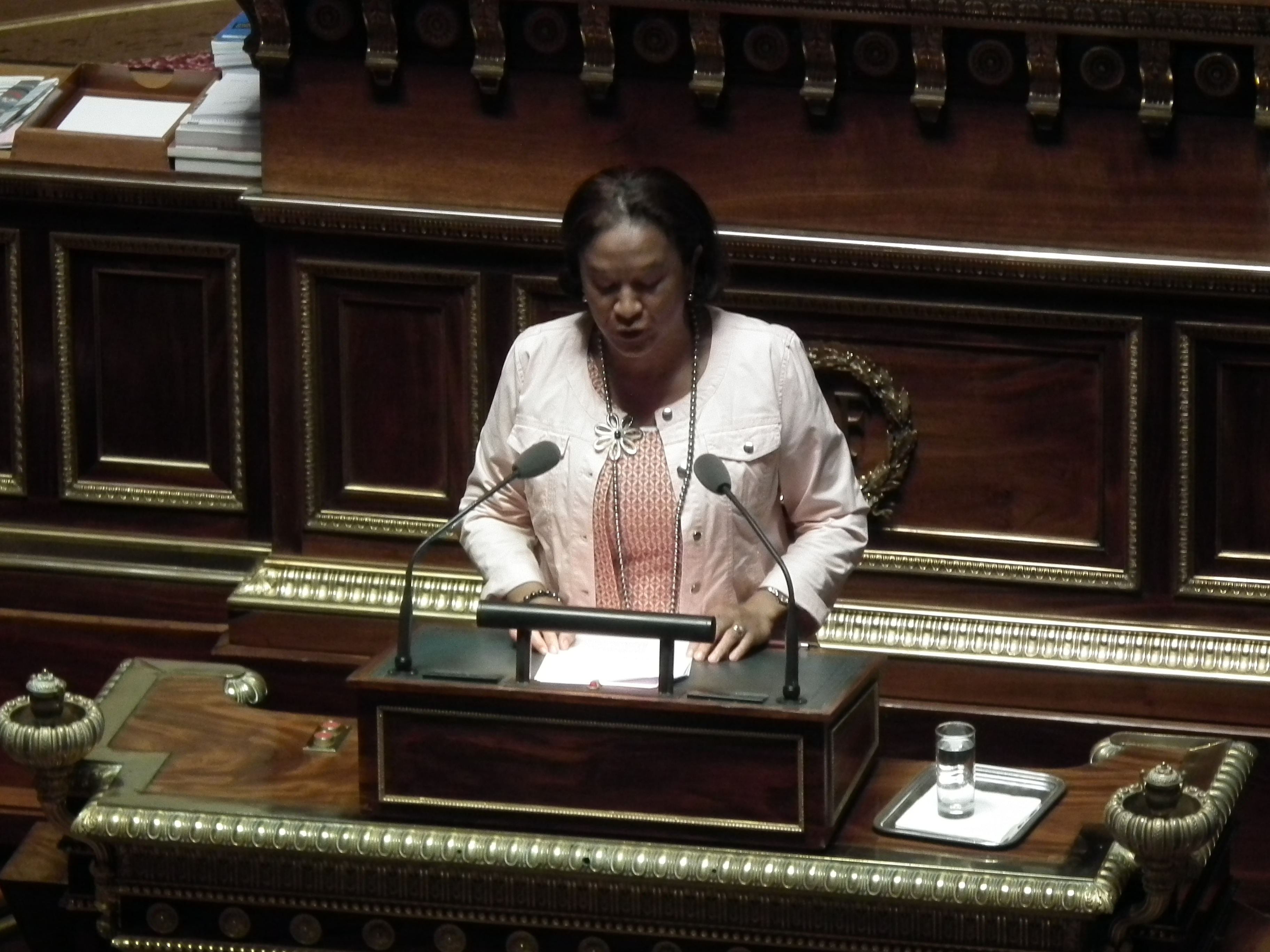 Sénat : la « Loi Tetuanui » adoptée à l’unanimité