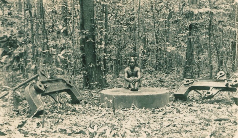 Tout ce qu’il reste de la colonisation de Port-Breton ; quelques pièces de fonte, des débris épars que la jungle a avalés.