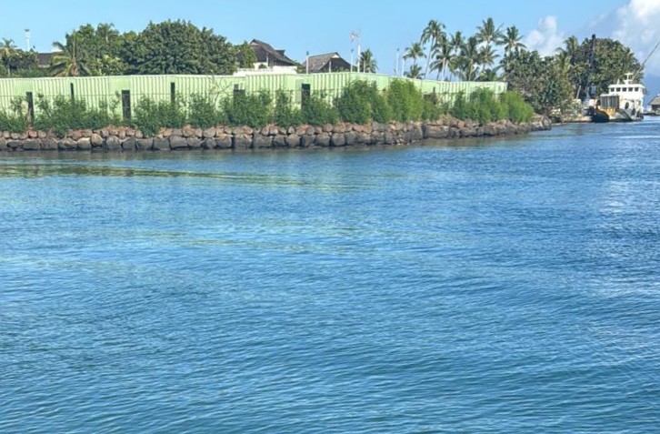 Pointe Tiarai : le projet de nouveau quai de l’InterContinental soumis au public