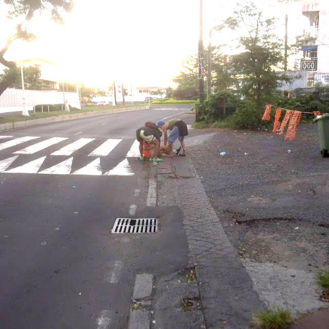 Agression en pleine rue : deux jeunes en garde à vue et un septuagénaire à l'hôpital