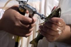 Au Chili, un saumon mijoté aux antibiotiques