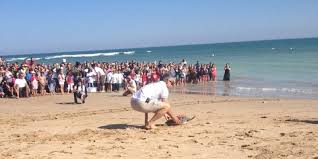 Charente-Maritime : 13 tortues remises en liberté à l'Ile de Ré