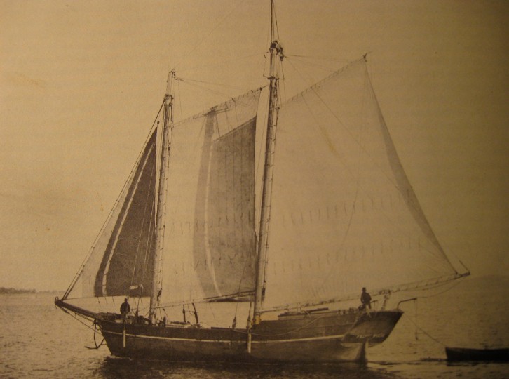 La goélette Niuroahiti était un petit bâtiment de ce type, jaugeant 50 tonneaux.