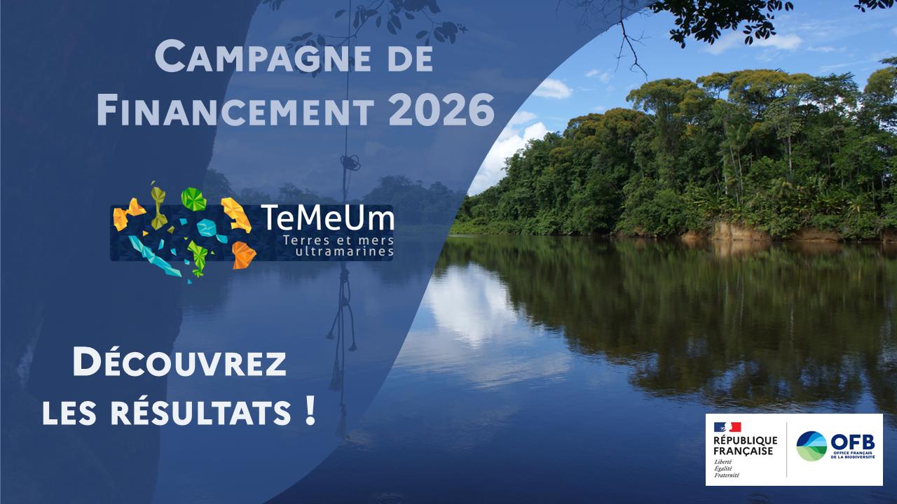 ​Biodiversité : Six lauréats pour la campagne TeMeUm 2026