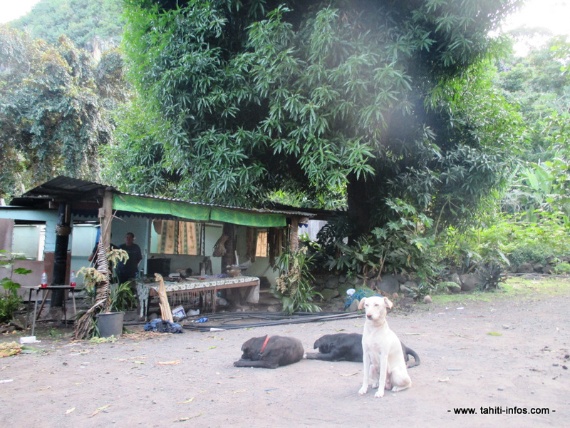 La maison avant destruction, à quelques mètres du marae.