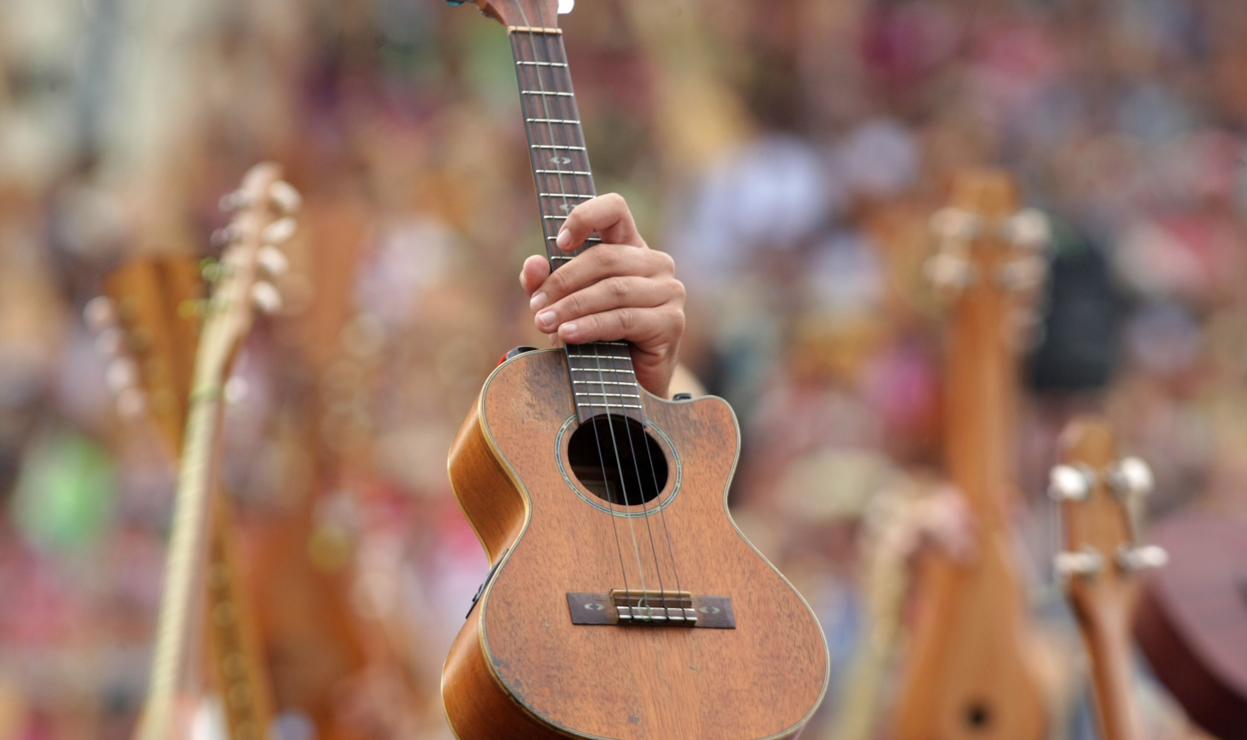 Accordez vos ‘ukulele et affûtez vos vivo : c’est à vous de jouer ! (Crédit : archive)