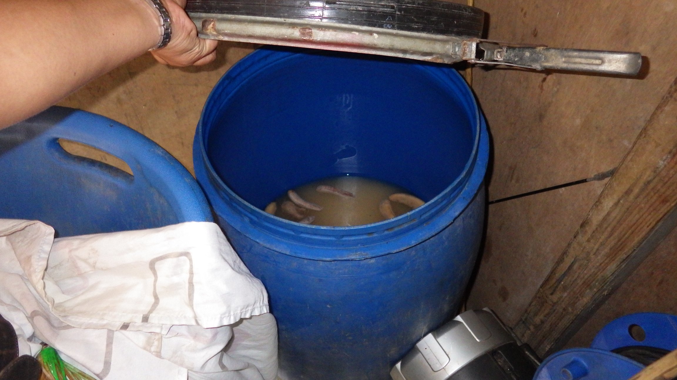 Une distillerie clandestine de Komo Puaka découverte à Fatu Hiva