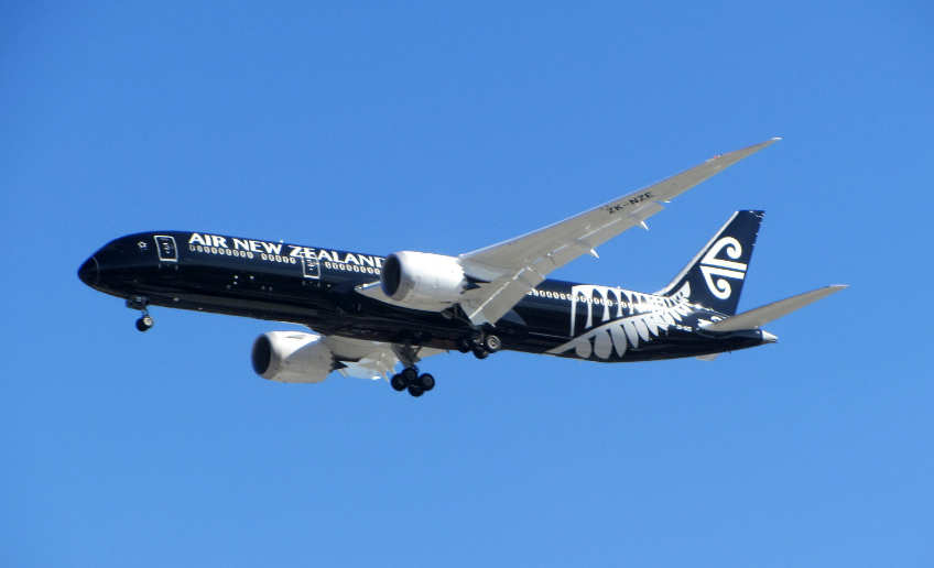 Le bel oiseau noir volera dans le ciel de Tahiti à partir du mois d'octobre